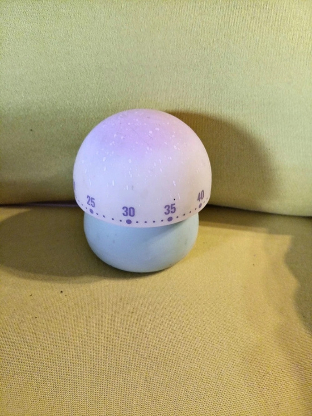 Mushroom Mechanical Kitchen Timer Purple & Blue